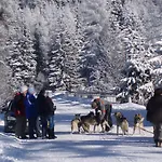 Panorama 아파트