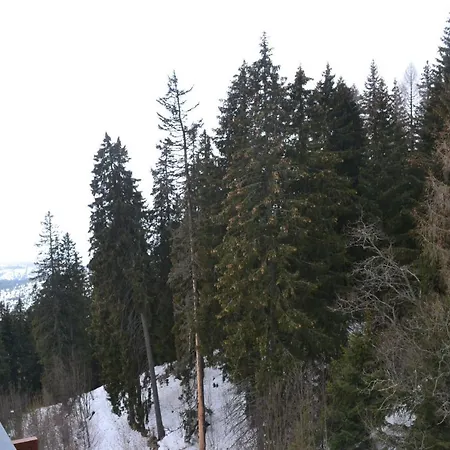 Panorama 公寓 *