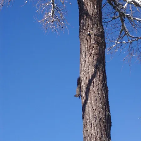 Panorama * Štrbské Pleso