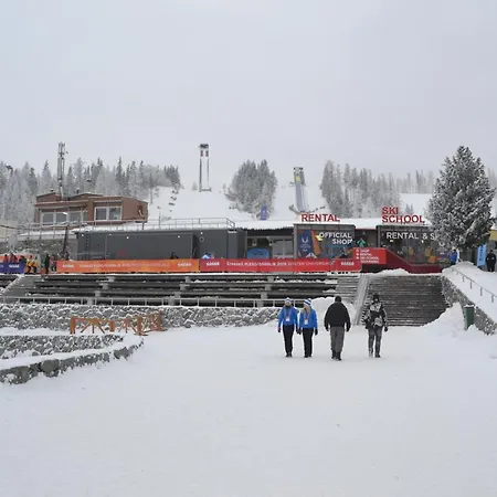 Panorama *