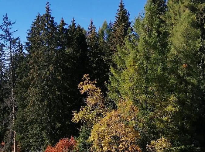 Апартаменты Panorama *