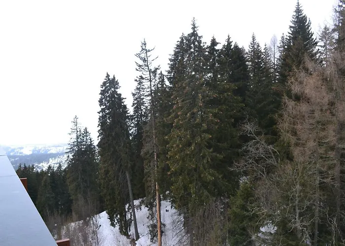 Panorama Апартаменты *