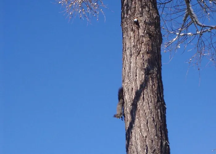 Panorama * Штрбске-Плесо