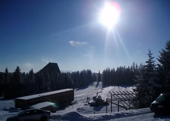 Апартаменты Panorama *