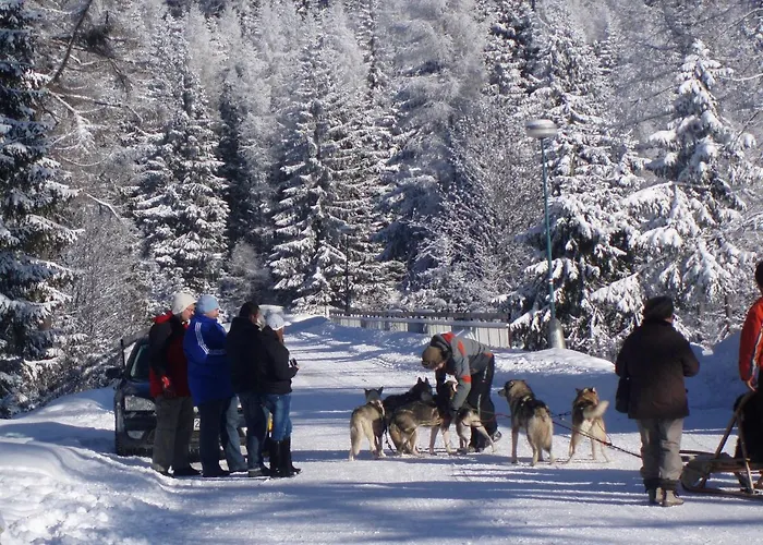 Panorama Апартаменты